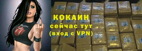 индика Вязники