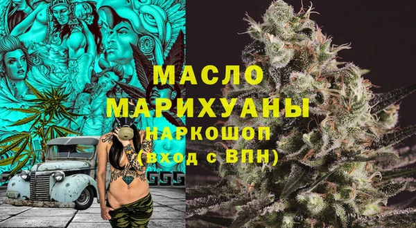 индика Вязники