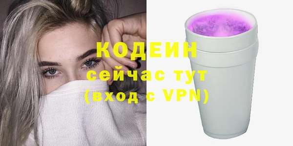 индика Вязники