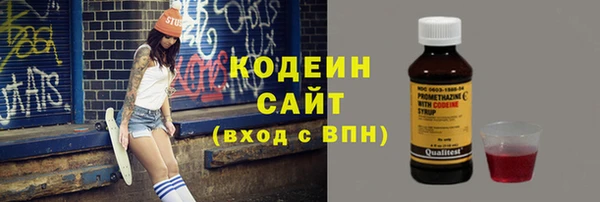 индика Вязники