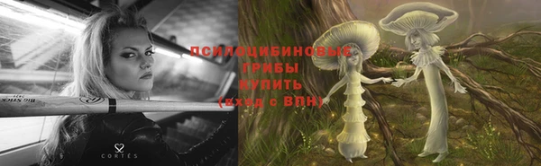 индика Вязники