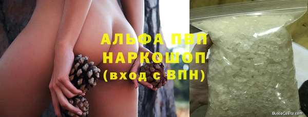индика Вязники