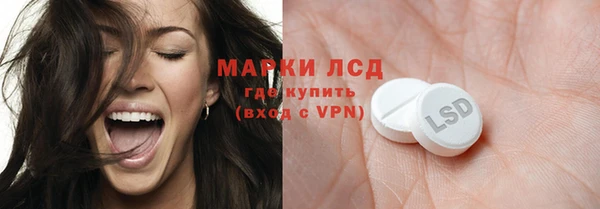 индика Вязники