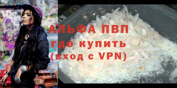 индика Вязники