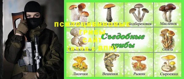 герыч Вяземский