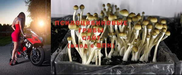 герыч Вяземский